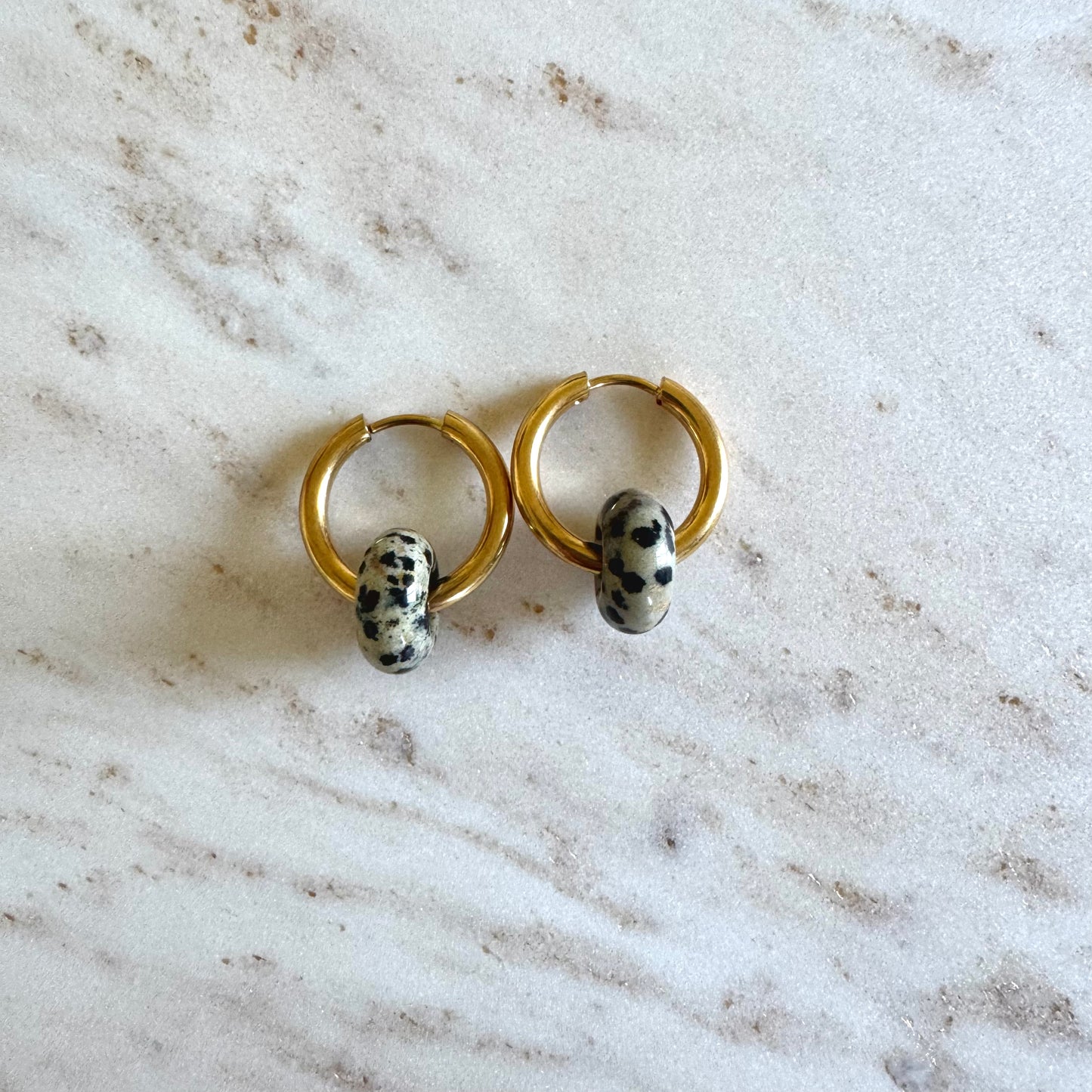 Dalmatian Jasper Creoles Big Donut