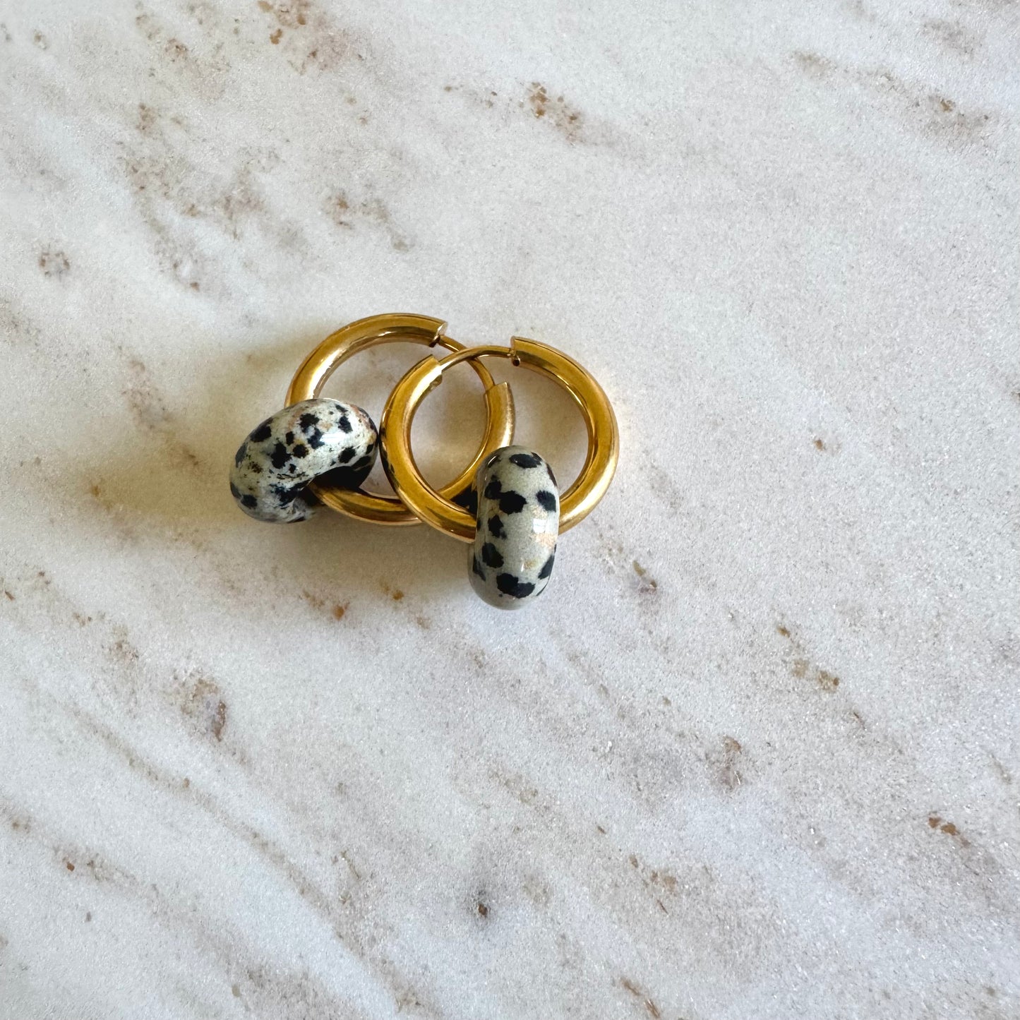 Dalmatian Jasper Creoles Big Donut