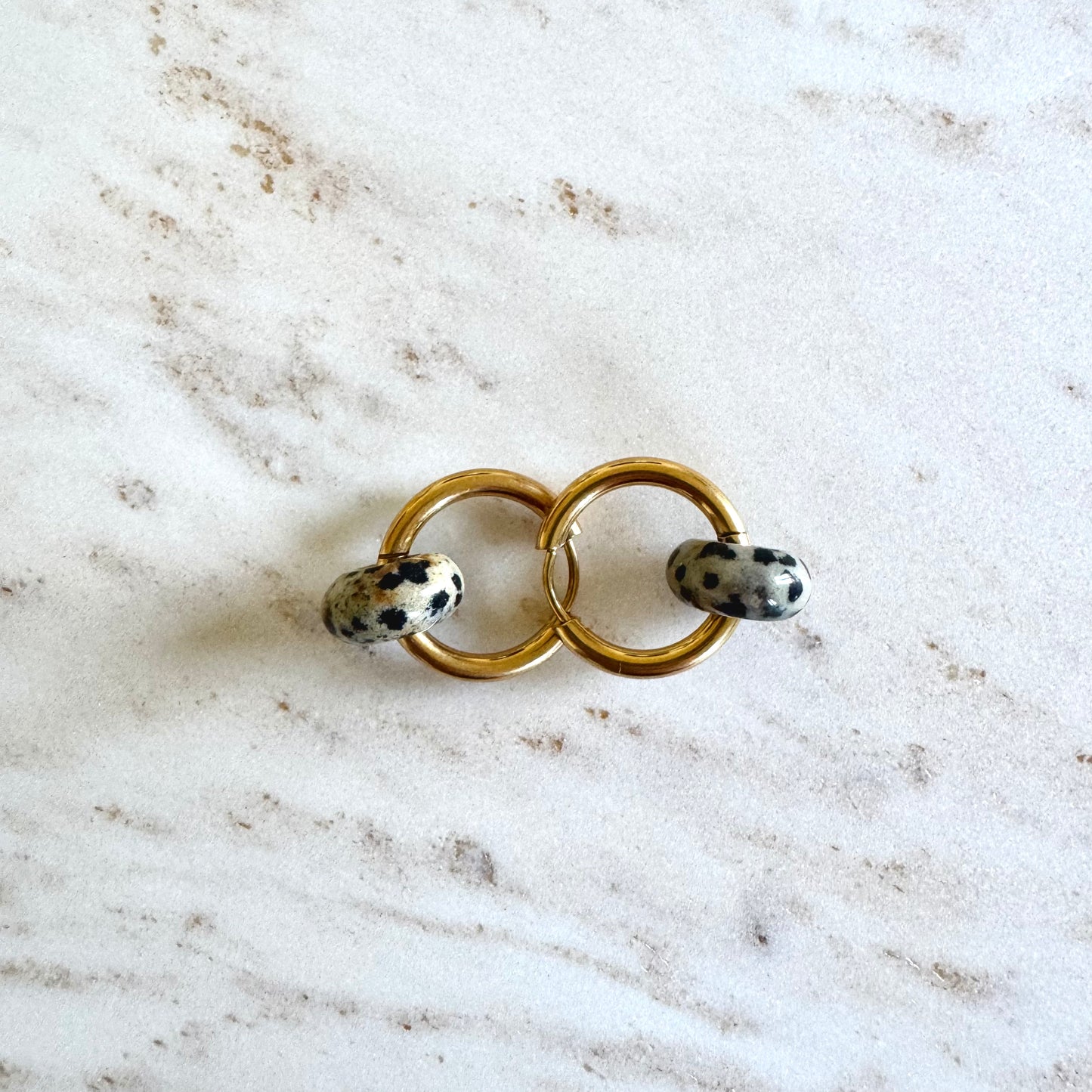 Dalmatian Jasper Creoles Big Donut