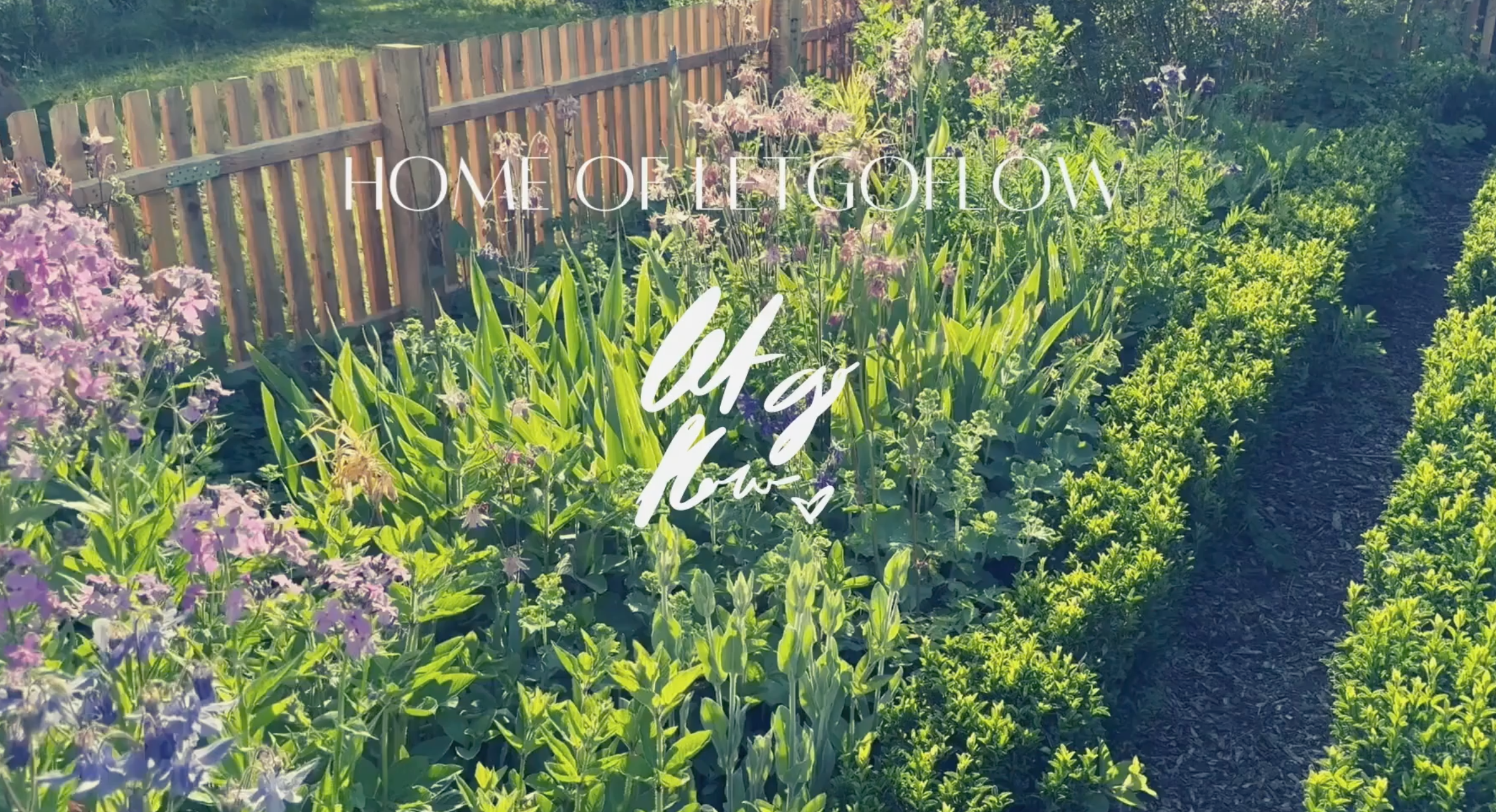 Video laden: home of Letgoflow